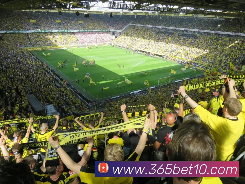 bet365com英国上市公司服务体系